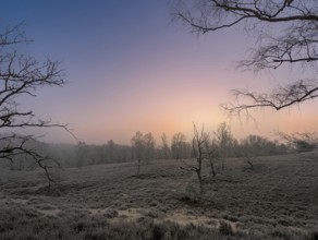 Hiking in winter with frost in the Fischbeker Heide in Hamburg