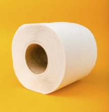 Close up toilet paper roll