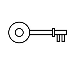 Key icon illustrated in vector on white background