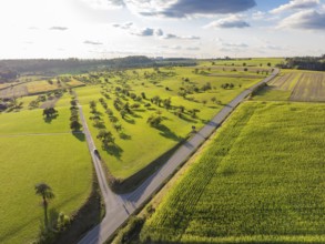 Wide green landscape with fields, trees and a winding road under a slightly cloudy sky