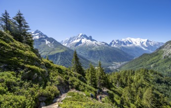 Mountain panorama with glaciated mountain peaks, Aiguille Verte with Aiguille du Midi and Mont