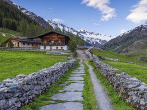 Farmhouse in Ahrntal, mountains with snow, Zillertal Alps, Krimmler Tauern, Kasern, South Tyrol,