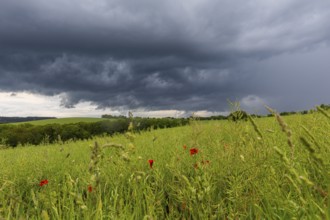 Heavy rain showers and thunderstorms over Possendorf in the Eastern Ore Mountains, Possendorf,