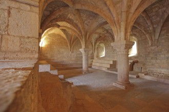 Interior view of the chapter house with ceiling vault and columns of the Romanesque abbey of Le