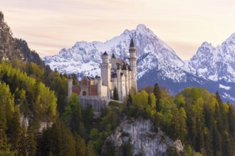 Neuschwanstein Castle near Füssen, evening mood, Schwangau, Allgäu Alps, snow, Ostallgäu, Bavaria,