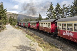 Red train on rails in wooded landscape, smoke rising, Harz Mountains, Brocken, Lower Saxony
