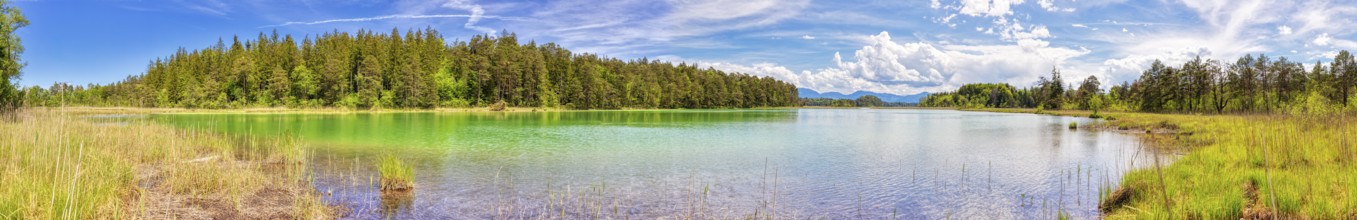 A panorama of a clear lake with vibrant colours and a surrounding forest, Osterseen