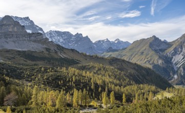Mountain panorama with steep rocky peaks, yellow-coloured larches in autumn, view of Laliderspitze,