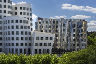 Gehry buildings, Media Harbour, Neuer Zollhof, Düsseldorf, North Rhine-Westphalia, Germany, Europe