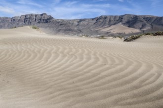 Dune landscape, Playa de Famara, Lanzarote, Canary Islands, Spain, Europe