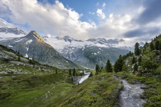 Mountain landscape with mountain stream Zemmbach and mountain hut Berliner Hütte, behind mountain