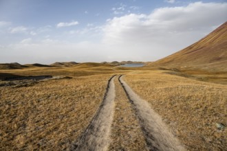 Track through hilly landscape with yellow grass, Trans Alay Mountains, Pamir Mountains, Osh