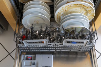 Dishwasher, full of dirty crockery, cleaning rod