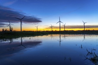 Wind farm near Holzweiler, town of Erkelenz, wind turbines, rain puddle, North Rhine-Westphalia,