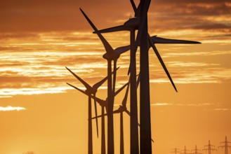 Wind farm near the East Frisian town of Norden, east of the town, sunset, Lower Saxony, Germany,