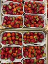 Fresh strawberries (Fragaria) fresh fruit for healthy eating on display from fruit merchants
