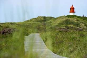 Lighthouse in the dunes, Amrum, North Frisian Islands, Schleswig-Holstein, Germany, Europe