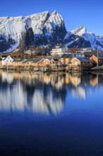 Wooden houses on a fjord off Bergen, morning light, reflection, winter, Reine, Moskenesoya,