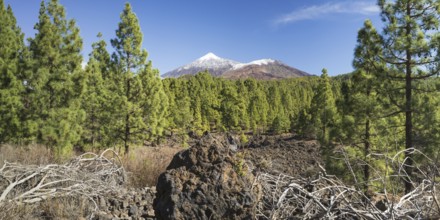 Arena Negras, behind it Pico del Teide, 3715m and Pico Viejo, 3135m, National Park Teide, Tenerife,