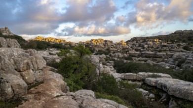 Bizarre limestone rock formations, El Torcal nature reserve, Torcal de Antequera, Malaga province,