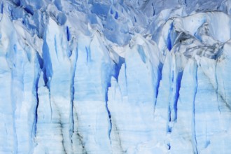 El Calafate, Patagonia, Argentina, Perito Moreno Glacier in Los Glaciares National Park. The Perito