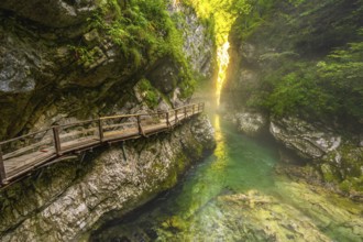 Sunlight filters through a narrow canyon illuminating a wooden walkway over a clear emerald river