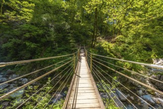 Scenic view of a wooden suspension bridge crossing over a clear stream in the lush tolmin gorges, a