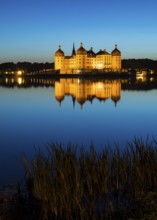 Castle with reflection in the castle pond in the evening, Moritzburg, Saxony, Germany, Europe