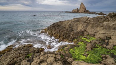Rocky coast, Cabo de Gata-Nijar Natural Park, Almeria, Andalusia, Spain, Europe
