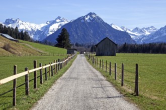 Path through meadows between Rubi and Oberstdorf, behind mountains of the Allgäu Alps, Oberallgäu,