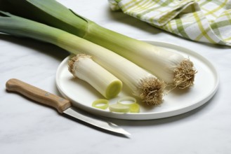 Leek, leek sticks on plate with knife, leek