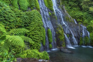 Banyumala twin waterfalls, waterfall, jungle, rainforest, water, nature, botany, holiday, paradise,