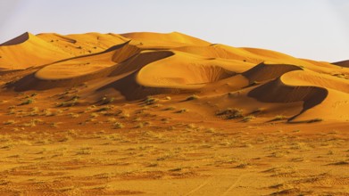 Wind-sculpted curved sand dunes in the Rub al Khali desert, Dhofar province, Arabian Peninsula,