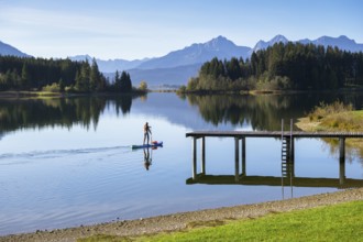 A person paddles with a surfboard on a calm lake with mountain views and wooded shores, Forggensee,