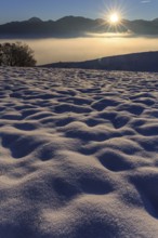 Sunrise over a snow-covered mountain landscape, Großweil, Alpine foothills, Upper Bavaria, Bavaria,