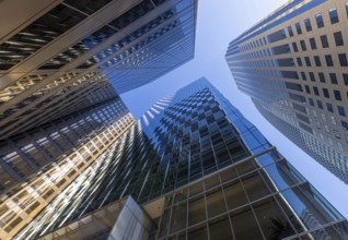 USA, Panoramic San Francisco financial district skyline in city downtown, North America
