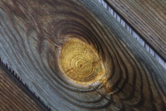 Close-up of large knot on weathered pine wood plank surface, Quebec, Canada, North America