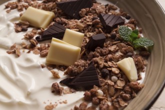 Yogurt with chocolate muesli, breakfast, close-up, fork on top, no people