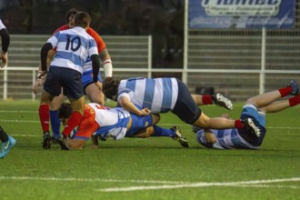 Rugby 1st Bundesliga South/West, season 2024/25, matchday 7 (catch-up match) : Heidelberger