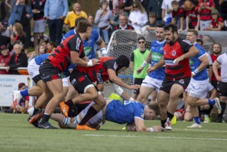 Heidelberg, 15.06.2024, Rugby 1st Bundesliga, 2023/24 season, final for the German championship: SC