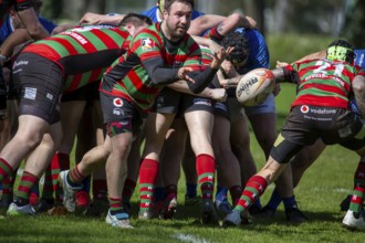 Heidelberg, 06.04.2024, Rugby 1st Bundesliga South/West, Season 2023/24, Matchday 10: SC Neuenheim