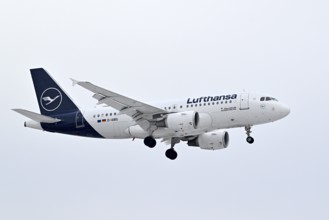 Aircraft Lufthansa, Airbus A319-100, D-AIBG