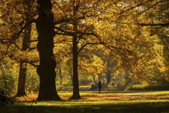 The Great Garden in Dresden is a park of Baroque origin. The Great Garden has been remodelled many