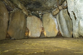 Burial chamber of the Neolithic megalithic site Klekkende Høj, Mön Island, Denmark, Europe