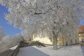 Medieval cannon with chariot wheels in winter, snow, frost, hoarfrost, Hellenstein Castle,