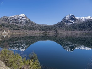 Lake Lago Quilleihue, calm surface, reflections on the water, araucaria trees, Villarica NP near
