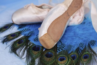 Ballet shoes, pointe shoes on peacock feathers, still life, dance shoes covered with satin in light