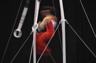 Gymnastics, artistic gymnastics, gymnasts, men, feature, movement, movement effect, wipe effect,