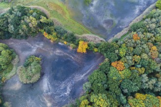 Mixed forest in autumn, colouring, aerial view, forest, autumnal, Ahlhroner Fischteiche,