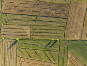 Aerial view, Cultivated fields, Agriculture, Landscape, Kyrgyzstan, Asia